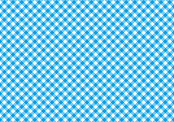 青のギンガムチェック バイアス スウォッチ