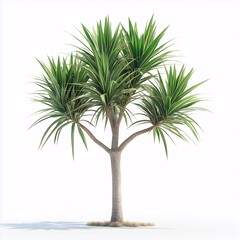 Fototapeta premium Tropical Flora & Foliage. Vibrant Greenery and Exotic Leaves in Sunny Nature Landscape