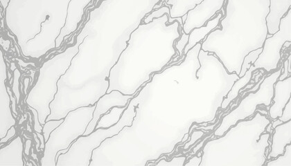 Obraz premium Marble Texture, White Stone with Veins