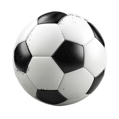 Wellworn Classic Black and White Soccer Ball