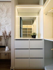 Contemporary Modern Minimalist Closet Design Featuring a Mirror and Stylish Drawers