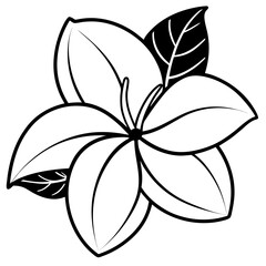 Balinese Frangipani Vector on White