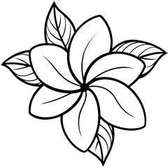 Balinese Frangipani Vector on White