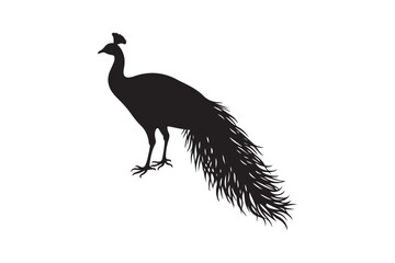 Fototapeta premium Simple Peacock Silhouette SVG Design Majestic Bird Cut File for Cricut and Sublimation