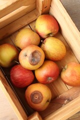 Damaged and rotten apples in wooden crate on table, top view