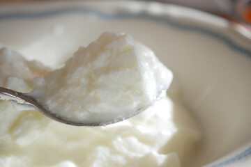 Delicious homemade yogurt served in a bowl