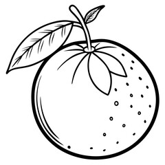 Simple Clementine Vector on White