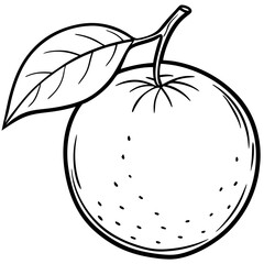 Simple Clementine Vector on White