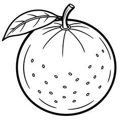 Minimal Clementine Illustration