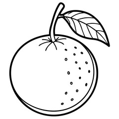 Minimal Clementine Illustration