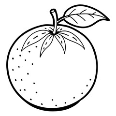 Minimal Clementine Illustration