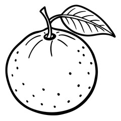 Minimal Clementine Illustration