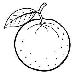 Minimal Clementine Illustration