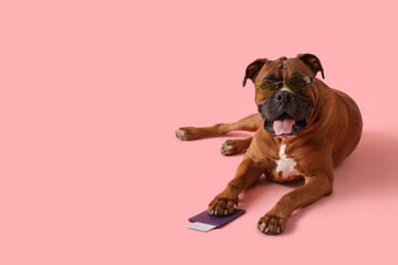 Brown American Bulldog in sunglasses with passport lying on pink background. Summer travel concept