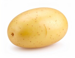 Fresh Potato with Bright Yellow Skin on a White Background
