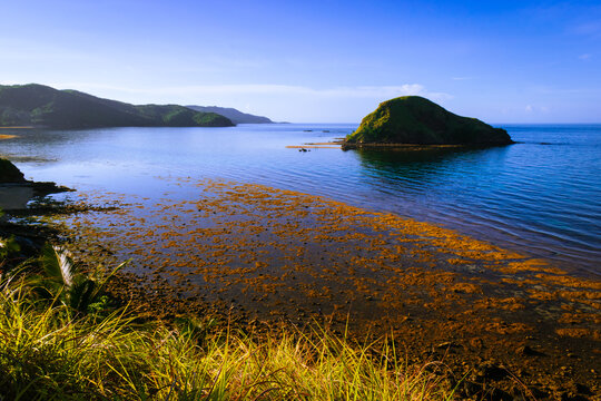 View of the sea from the grassy mountain. Calabogo, Romblon Island, Philippines