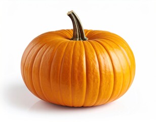 Fresh Orange Pumpkin Ready for Harvest