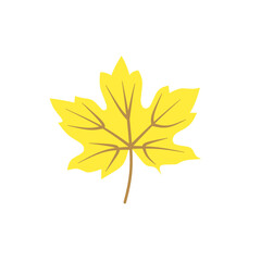 Set of autumn leaves from different trees, oak, maple, chestnut. Simple, yellow, red, orange fall leaf set for pattern, banner, sticker, Hello autumn card. Flat vector illustration on white background