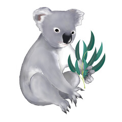 Illustration of a koala eating eucalyptus leaves 
