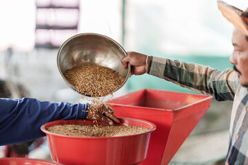 A farmer is pouring rice into a rice mill.