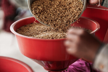 A farmer is pouring rice into a rice mill.