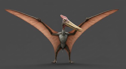 Detailed pterodactyl illustration with extended wings and grey texture