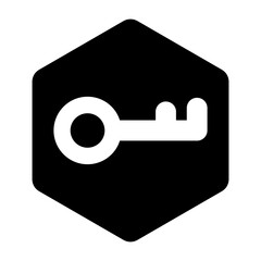 Key Icon