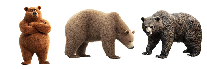Set of a bear, isolated on a transparent background.