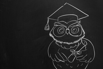 Drawn owl with graduation hat on blackboard