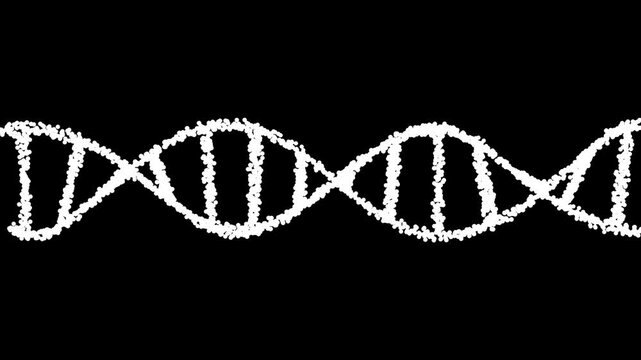 DNA double helix with depth of field animation of DNA construction medical chromosomes physical science blue scientific test code genomic slow motion and head icon animation. Human genetic code.