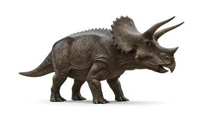 Obraz premium Triceratops dinosaur illustration realistic extinct animal prehistoric wildlife