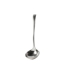Stainless Steel Ladle on Green Transparent background
