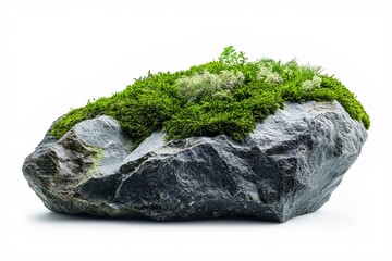 Picturesque Organic Landscape. Eco-Friendly Mossy Rock and Greenery in Nature's Tranquil Wilderness