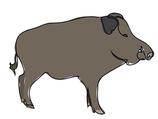 Wild boar in continuous line drawing on white background.
