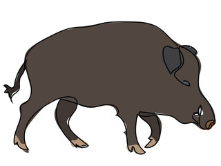 Wild boar in continuous line drawing on white background.
