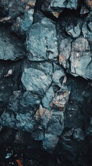 Detailed close-up of a rugged, textured rock face revealing nature's artistry