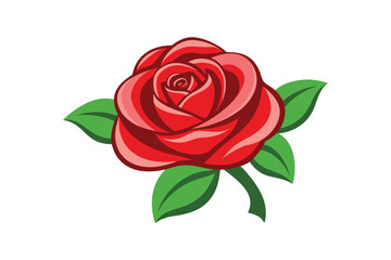 Single red rose vector illustration isolated on white background