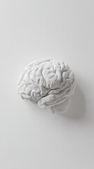 A monochromatic sculpted brain rests on a stark white background, exhibiting detailed convolutions