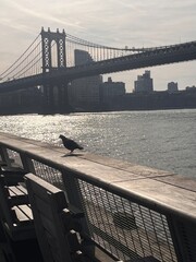 brooklyn bridge new york city