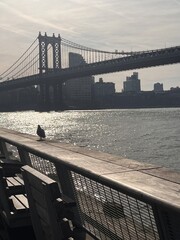 brooklyn bridge new york city