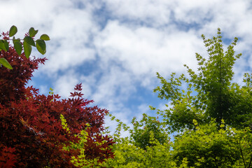 Sky-focused landscape photography