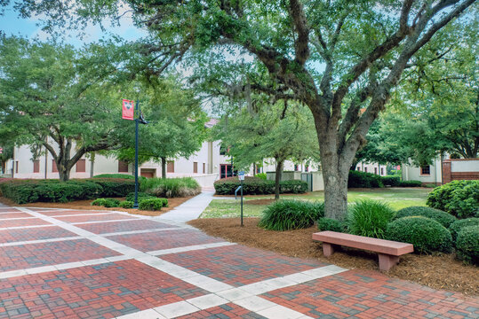 View of part of the Campus at Valdosta State University, Valdsosta, Georgia