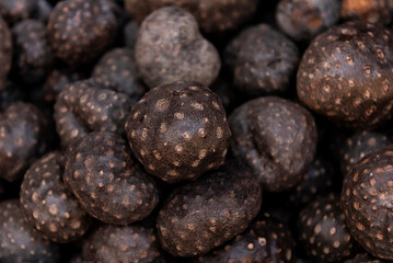 Dioscorea bulbifera, air potato or cara insulina