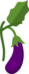 Illustration of a Fresh Eggplant
