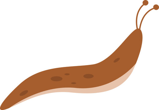 Slug