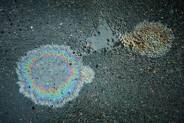 Gasoline or oil spill creating rainbow sheen on wet asphalt road.