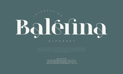 Stylish serif font with swirls and curves, perfect for branding, logos, and social media design