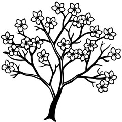 Simple Sakura Blossom Tree Vector on White