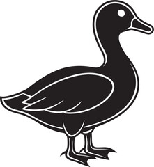 duck isolated on white