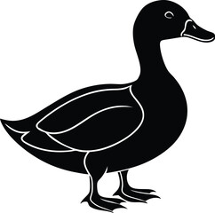 duck on a white background